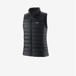Patagonia down sweater vest